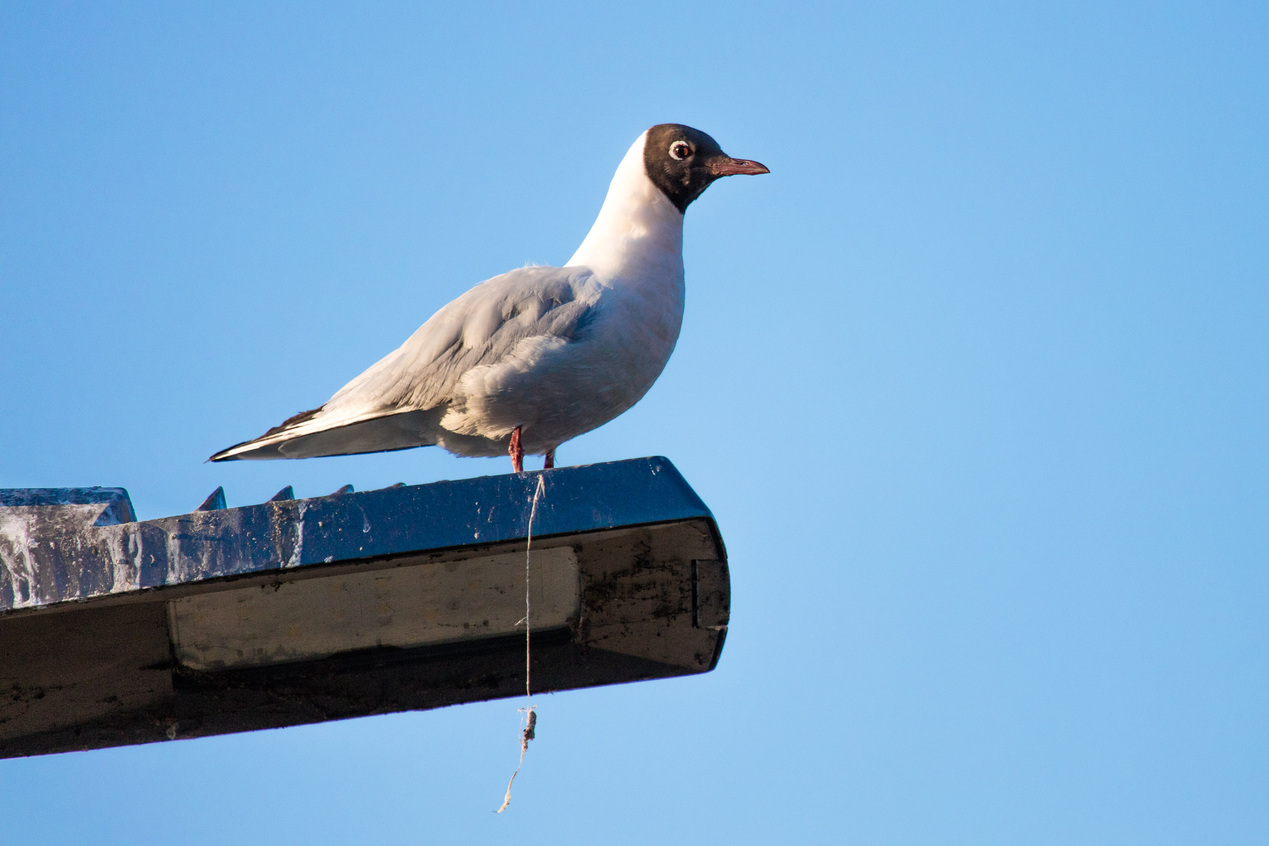 20160319174034 DP017834